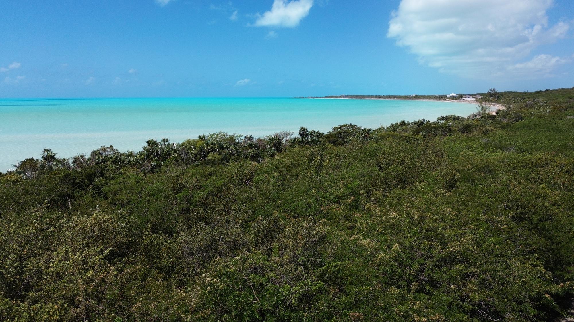 Bahama Island Beach