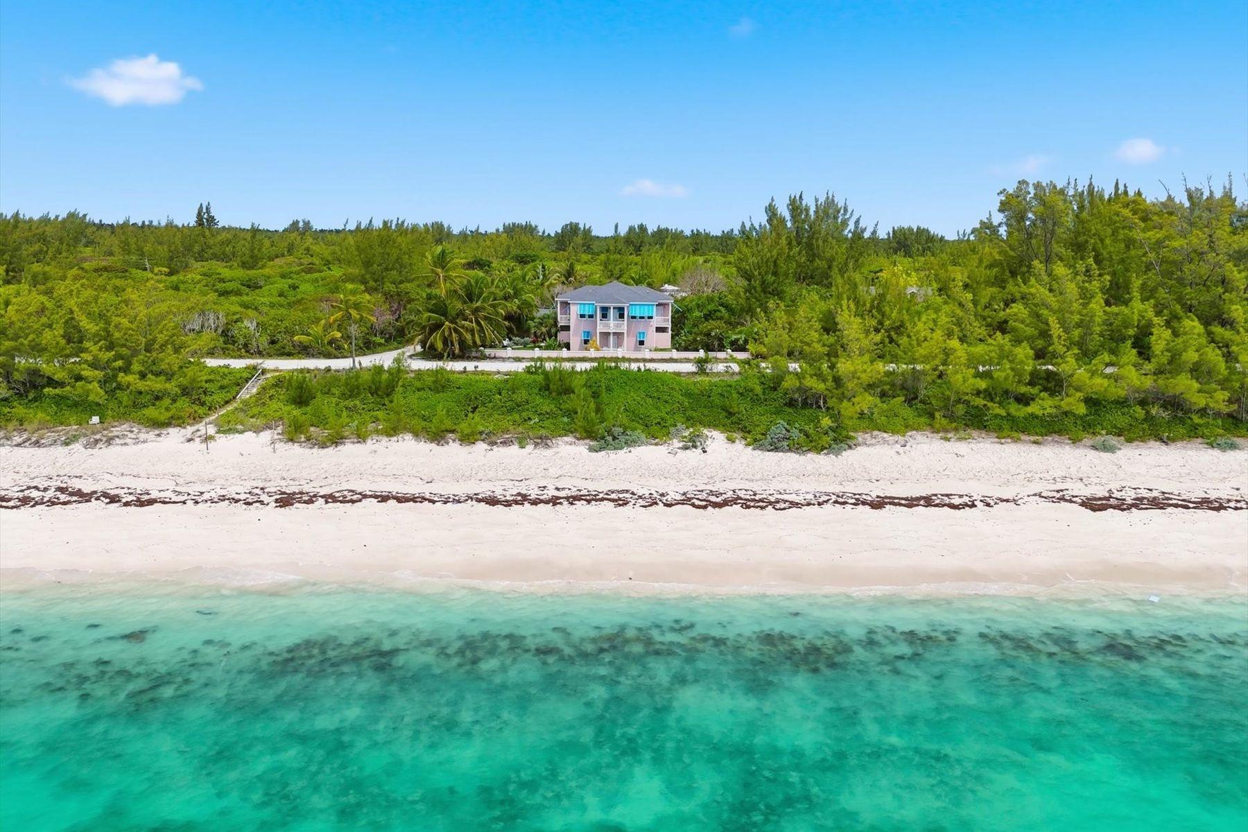  SHELLONA,Bahama Palm Shores