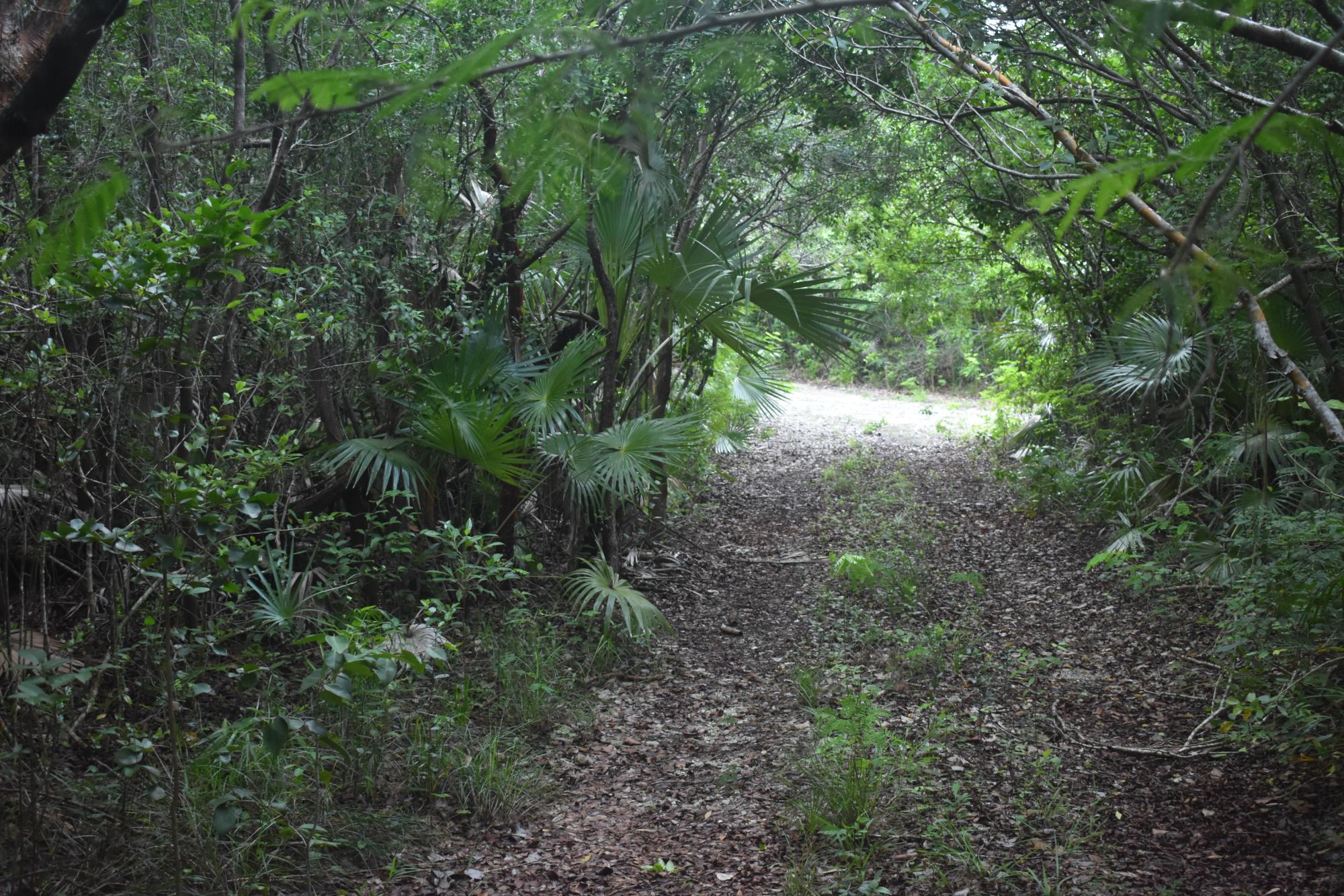 Eleuthera Lot