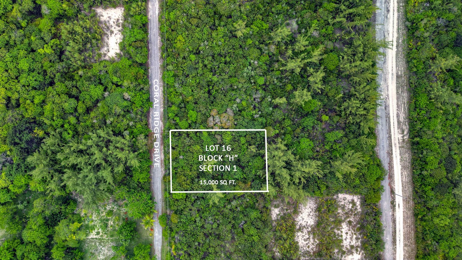  BAHAMA PALM SHORES LOT 16,Bahama Palm Shores
