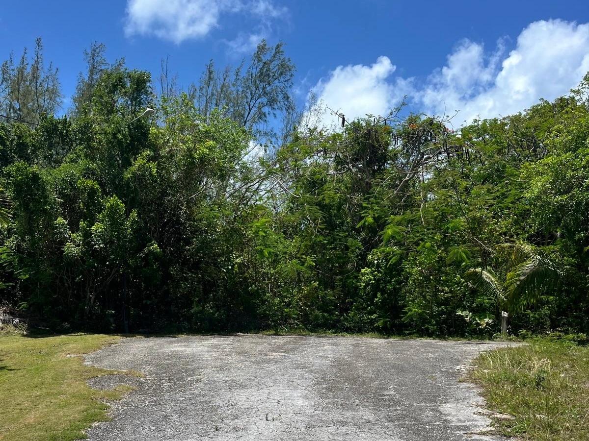 South Ocean Lot