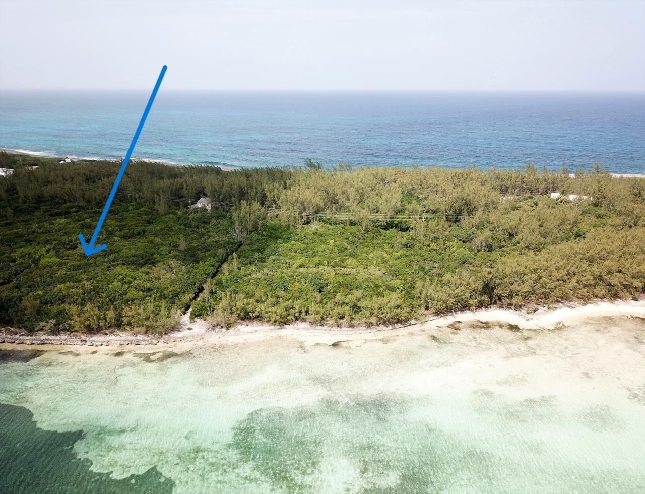 Waterfront Acreage