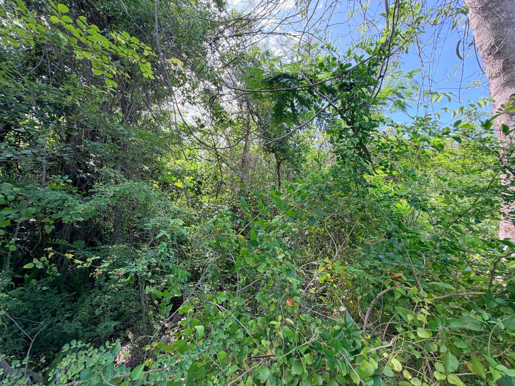  LOT 182 WESTRIDGE ESTATES,Westridge