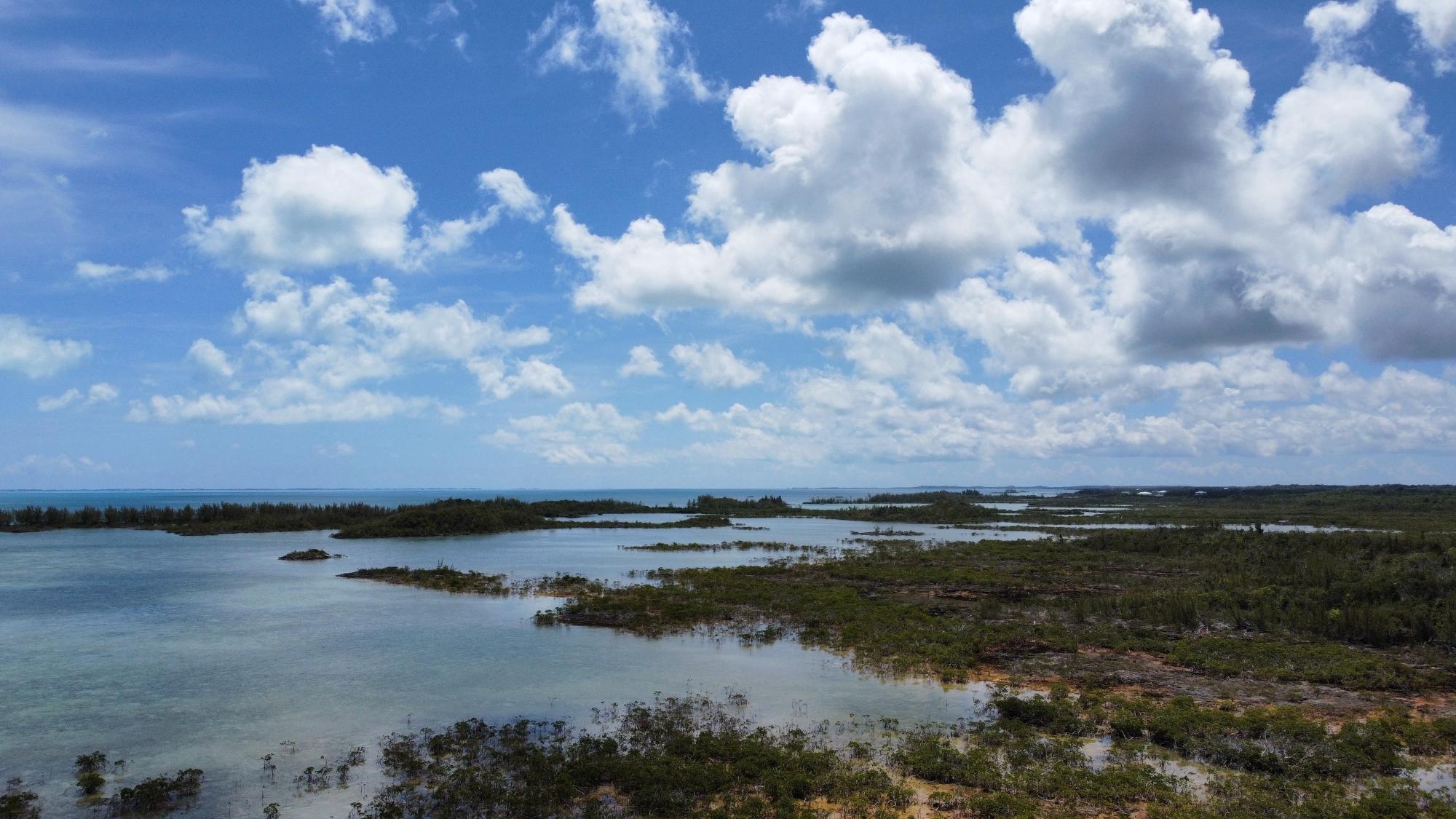  HILLS CREEK SC BOOTLE HIG,Other Abaco