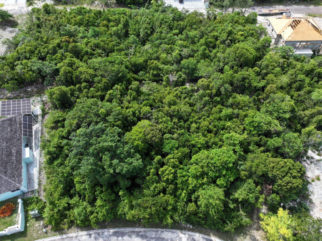 Vacant Lot