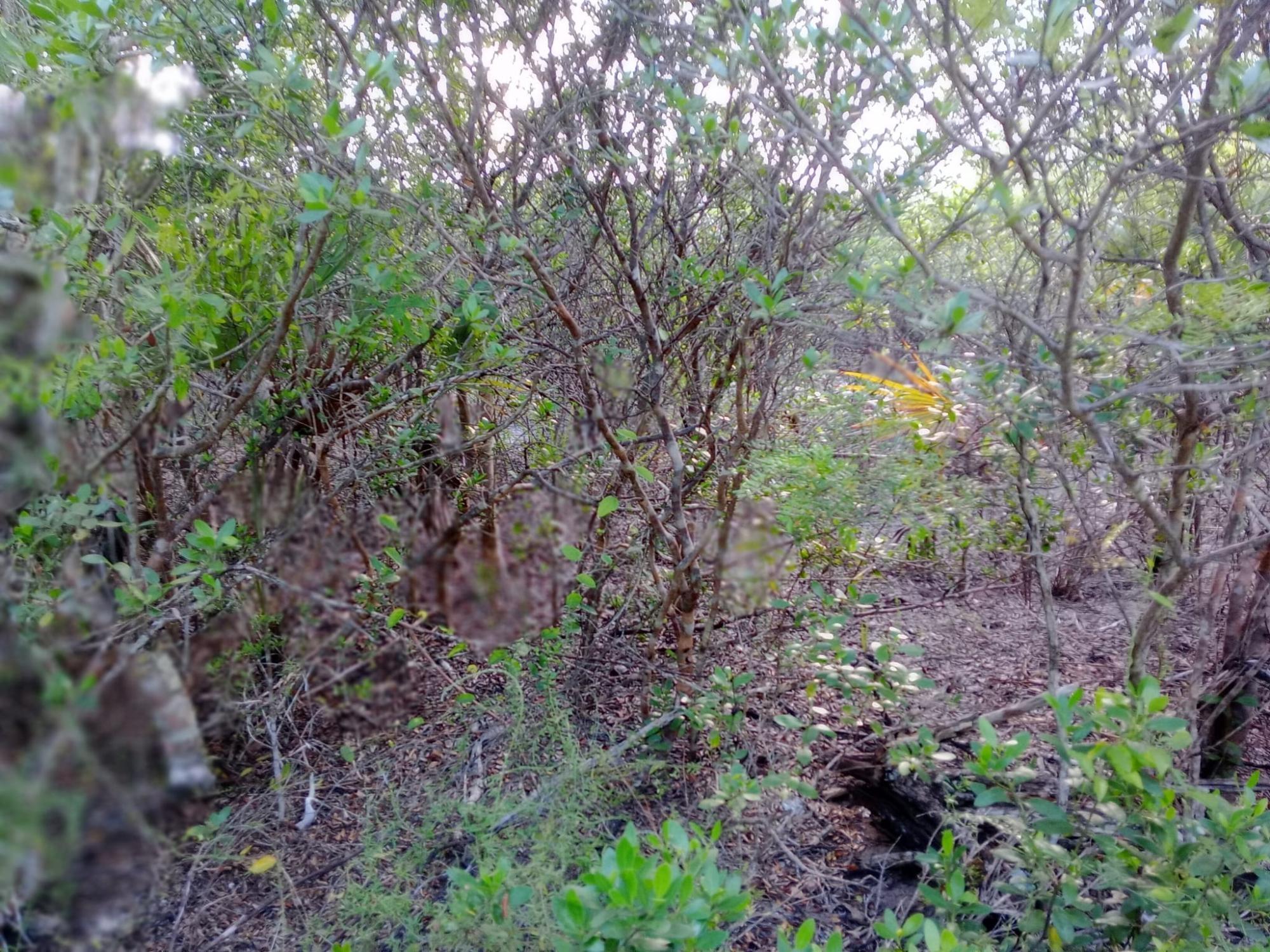  CALABASH BAY,Fresh Creek