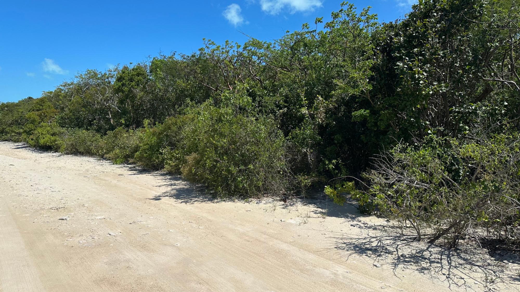 802 BAHAMA ISLAND BEACH 3,Little Exuma