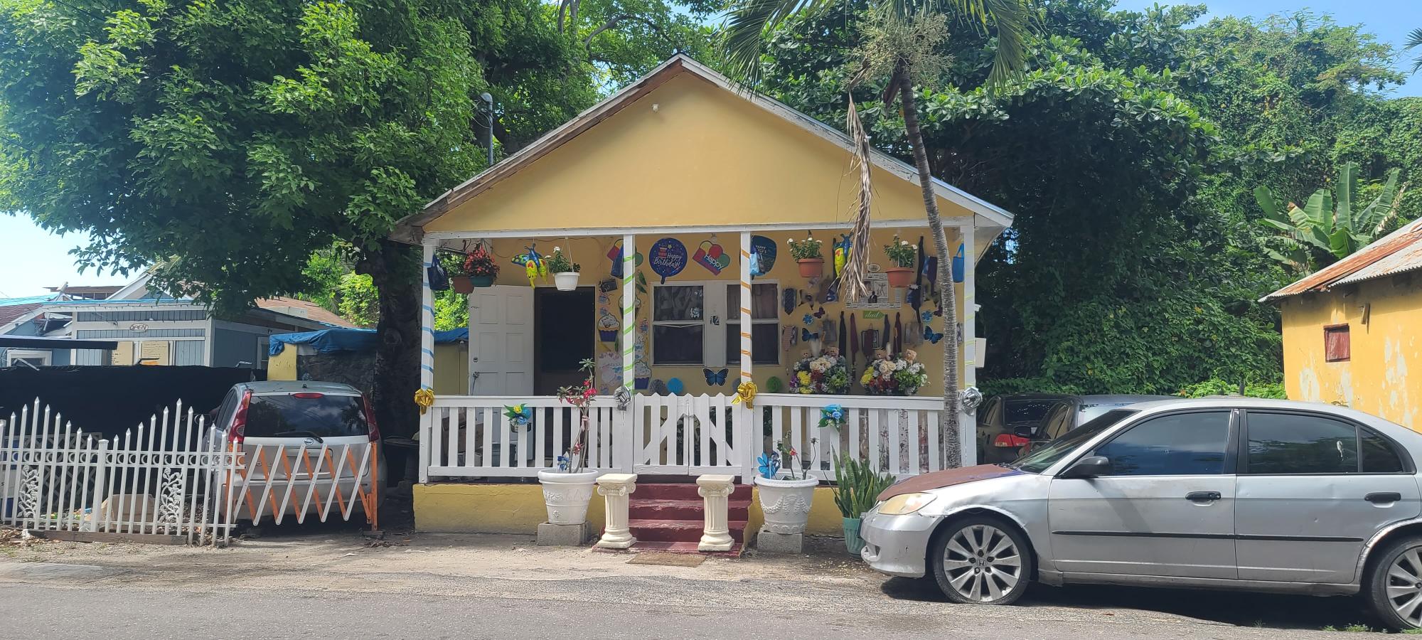 12 FLEMMING STREET,Blue Hill Road