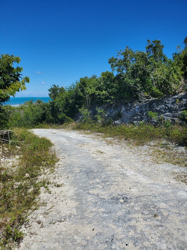 Lot 5 BAHAMA CORAL ISLAND,Other Abaco