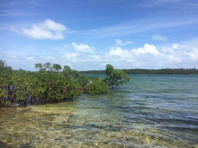  SAND BANKS CREEK LOT 2,Treasure Cay
