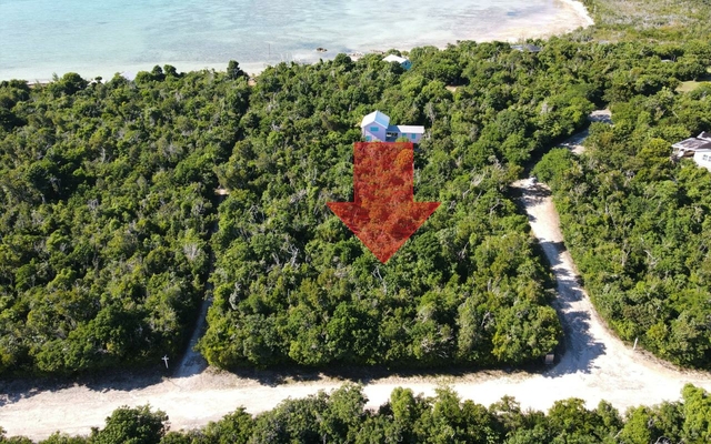  LOT 11, ABACO OCEAN CLUB,Lubbers Quarters