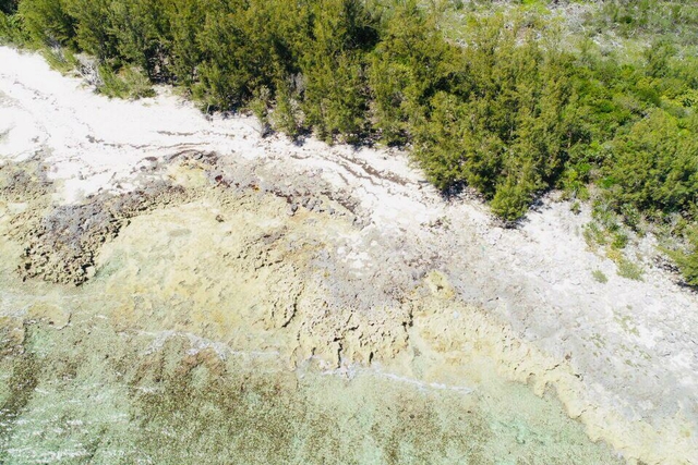  CASSAVA PATH TRACT,Savannah Sound