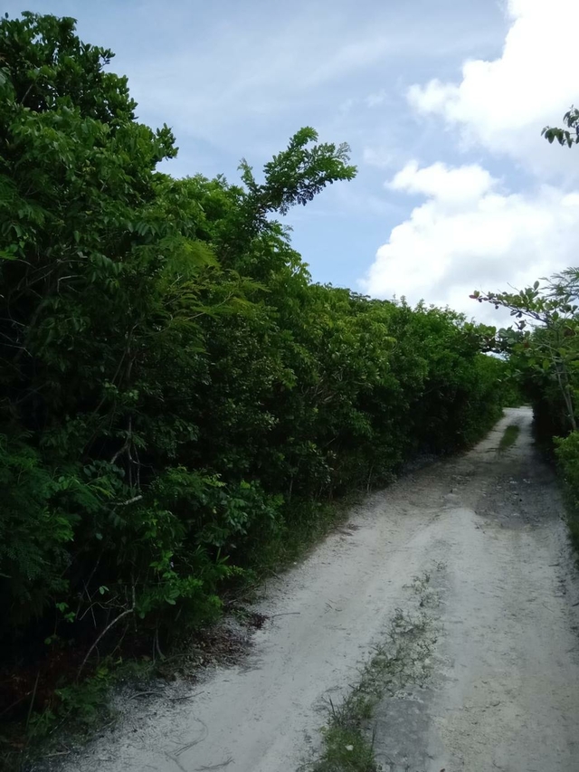 13 ELEUTHERA SHORES,Gregory Town