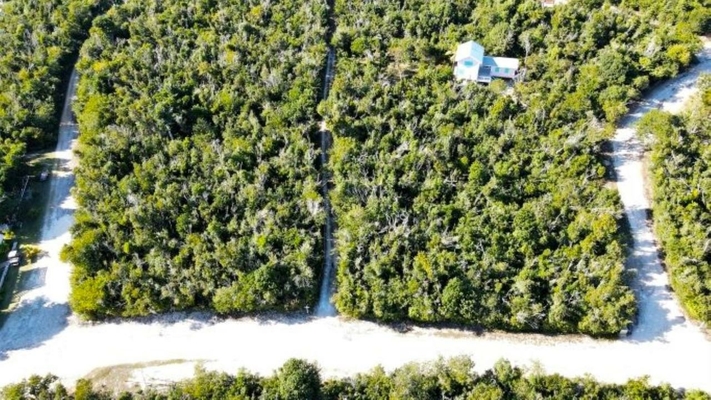  LOT 10, ABACO OCEAN CLUB,Lubbers Quarters