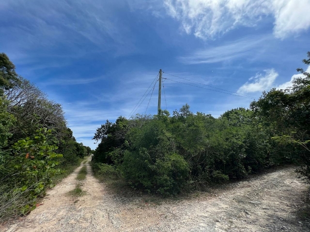  LOTS NEAR SURFER'S BEACH,Gregory Town