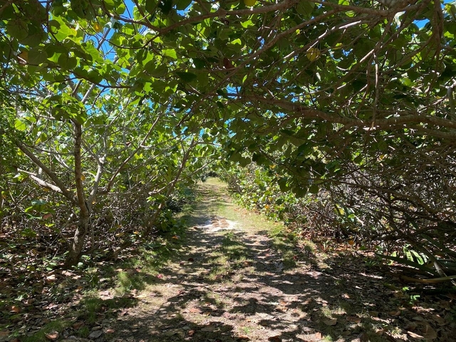  ELEUTHERA ISLAND SHORES,Gregory Town