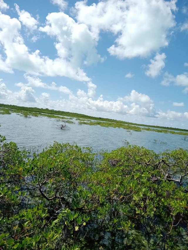  HARTSWELL,Exuma Cays