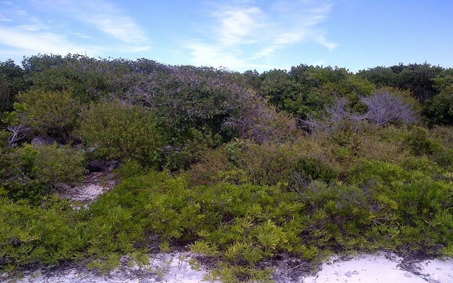  COLUMBUS LANDING 1,Columbus Landings