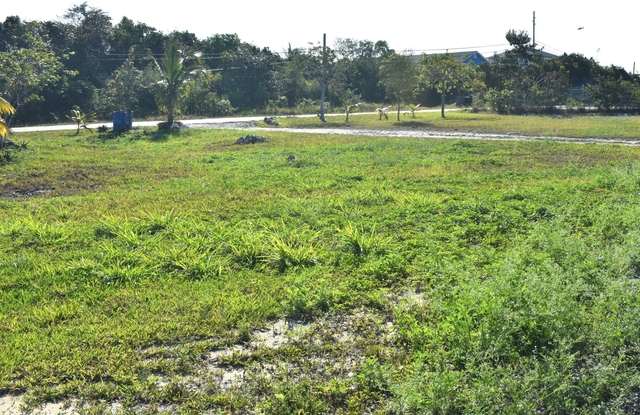  QUEEN'S HIGHWAY,Lower Bogue