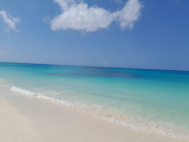  ELEUTHERA HILL TOP LOT,James Cistern