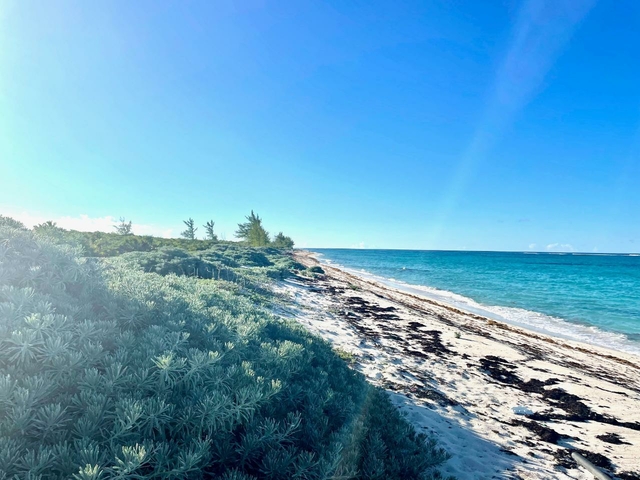  CAMPERDOWN BEACHFRONT LOT,Arthurs Town