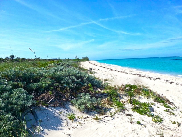  CAMPERDOWN BEACH,Arthurs Town