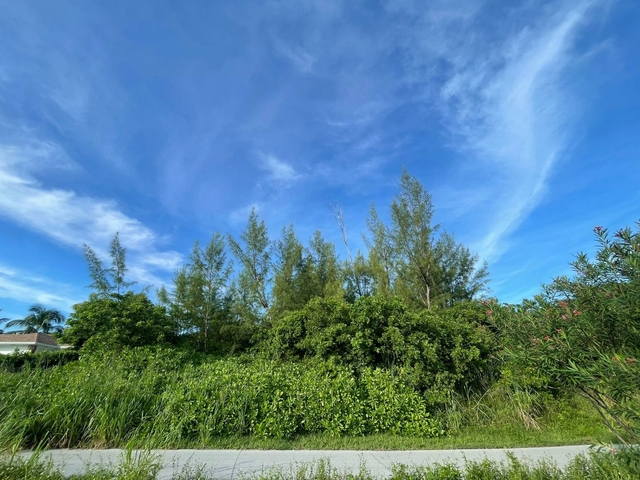 Lot 2 GUANA CAY SETTLEMENT,Guana Cay