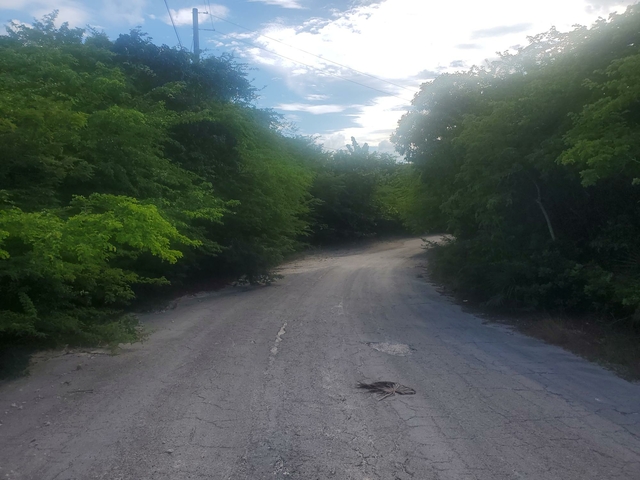  CROCODILE DRIVE,Bahama Sound