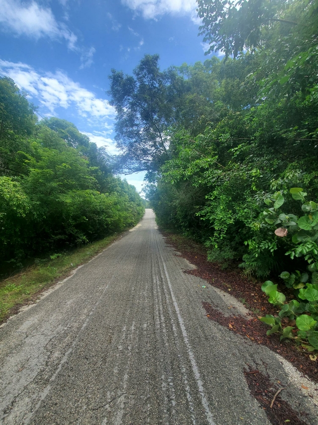  COMMODORE ROAD ALIEN TOWN,Other Exuma