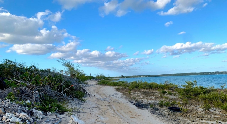  5 ACRES  - WATERFRONT,Salt Pond