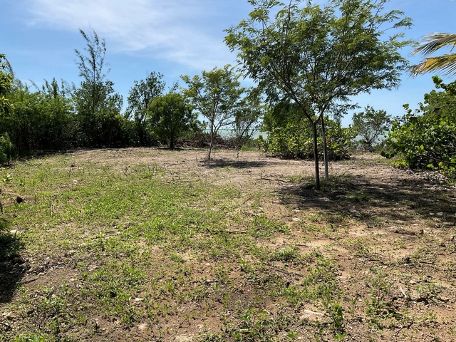  MANGROVE BUSH LOT,Mangrove Bush