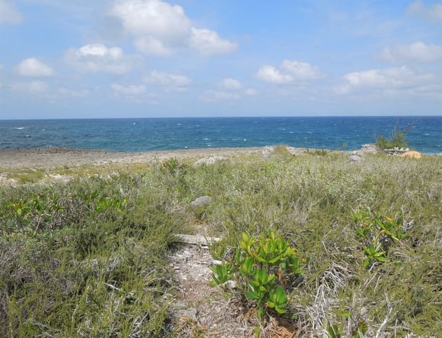  WHALE POINT ESTATES,Whale Point