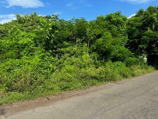  BLACKBEARD TERRACE,Other New Providence/Nassau