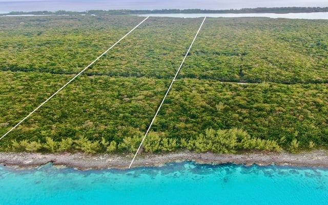  THE GIBSON TRACT,Savannah Sound