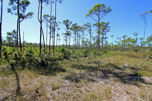  LUCAYA ESTATES,Lucaya