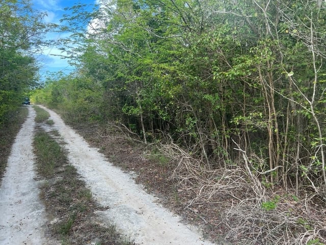  INDIGO AVENUE,Bahama Sound