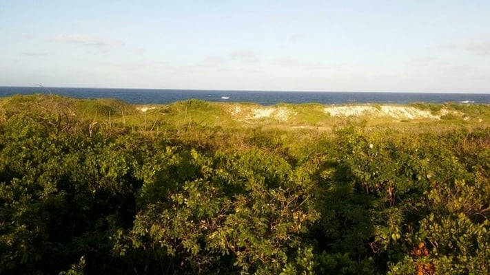  OCEAN VIEW LOT 1 MILLERS,Millers