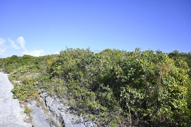  ALABASTER BAY ACREAGE,Governor's Harbour