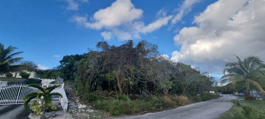  LOT #45 SOUTH WESTRIDGE,Westridge