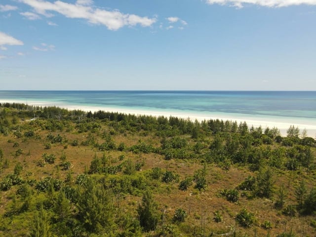  10 ACRES BEACHFRONT,Other Grand Bahama/Freeport
