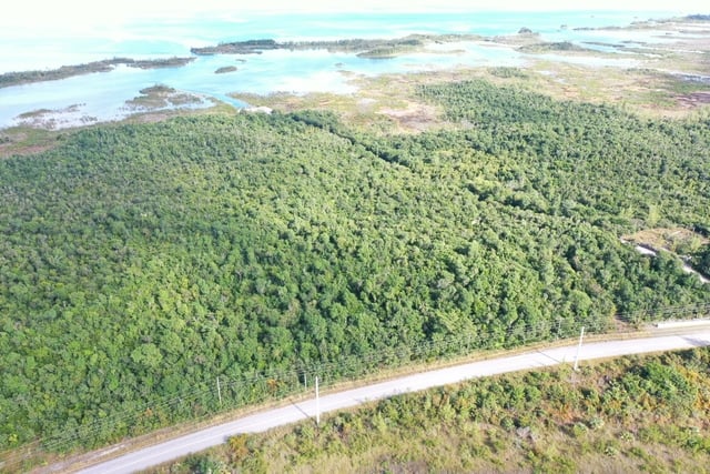 B-115 HILLS CREEK,Other Abaco