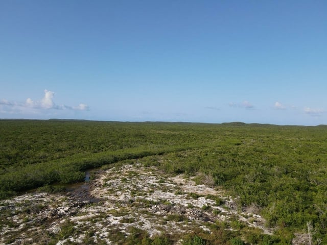  120 ACRES DOCTOR'S CREEK,Doctor's Creek