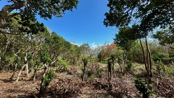  8 WANDERING SHORE,Rainbow Bay