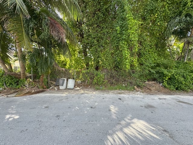 JOAN'S HEIGHTS,East Street