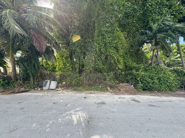  JOAN'S HEIGHTS,East Street