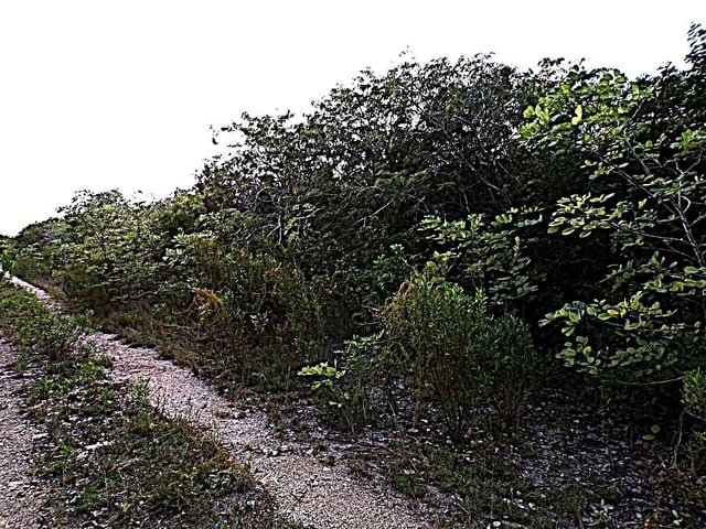  PLOT# 11 O'NEILS,O'Neils