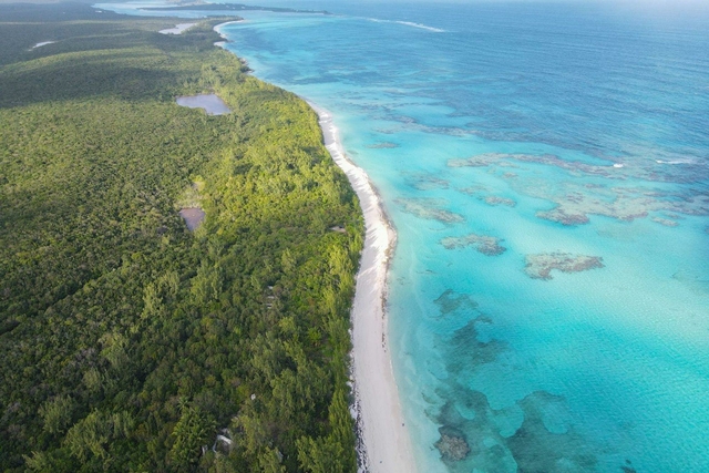  ISLANDIA 466 ACRES,Tarpum Bay