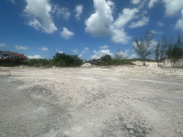  LIGHTBOURNE AVENUE,Perpall Tract
