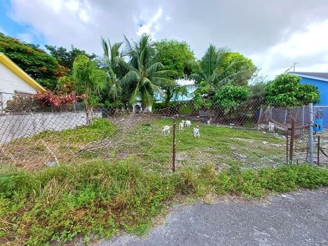  LUMUMBA MULTIFAMILY LOT,Other New Providence/Nassau