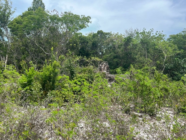  SAMUEL KNOWLES ESTATES LO,Simms